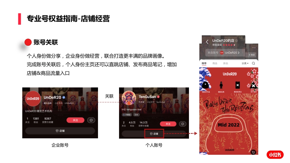 225小红书专业号运营攻略_第10页