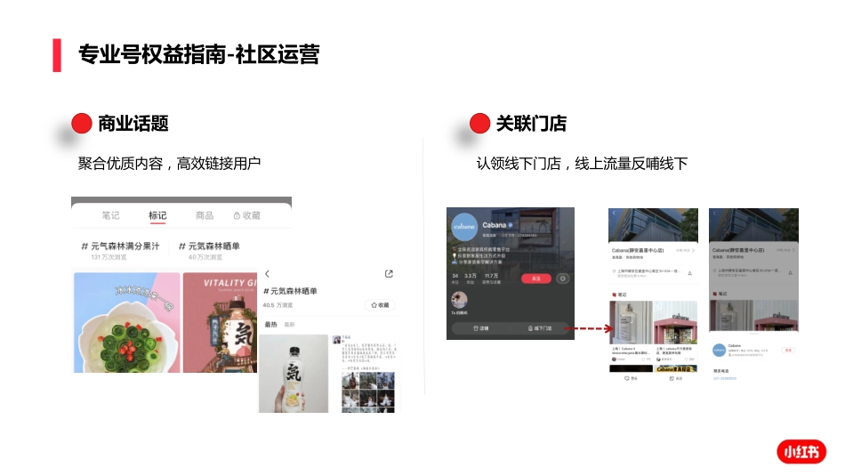 225小红书专业号运营攻略_第7页
