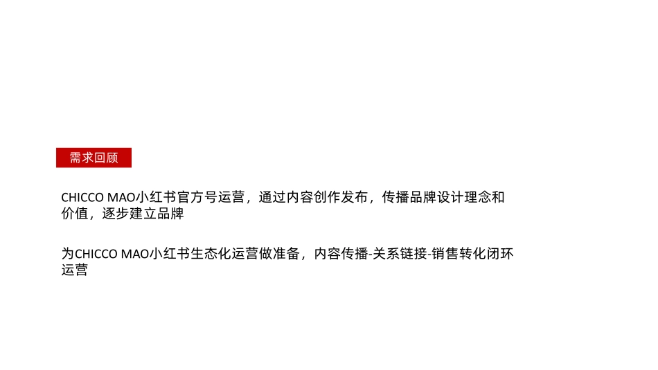CHICCO MAO小红书运营规划_第2页