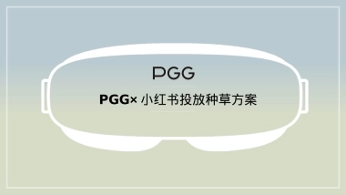 PGG润眼按摩仪小红书投放种草规划对外版本