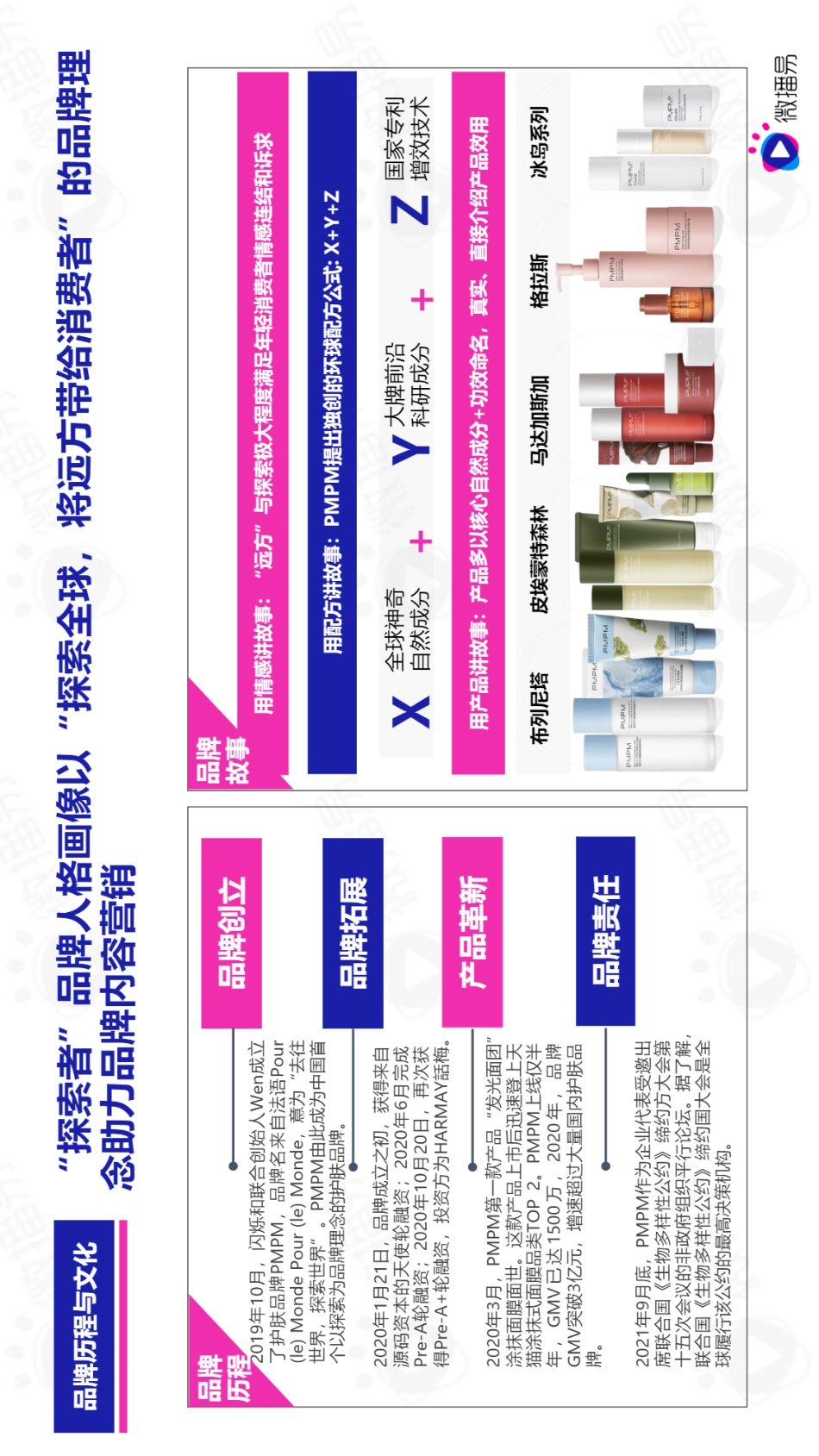 PMPM新黑马式品牌故事，618如何借助社媒生根发芽？-微播易_第2页