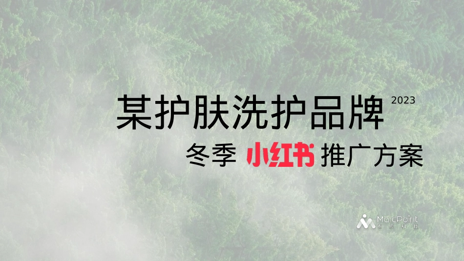 Z品牌护肤洗护冬季小红书推广方案_第1页