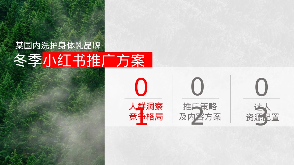 Z品牌护肤洗护冬季小红书推广方案_第2页