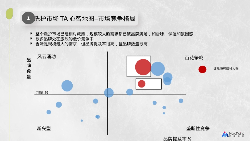 Z品牌护肤洗护冬季小红书推广方案_第6页