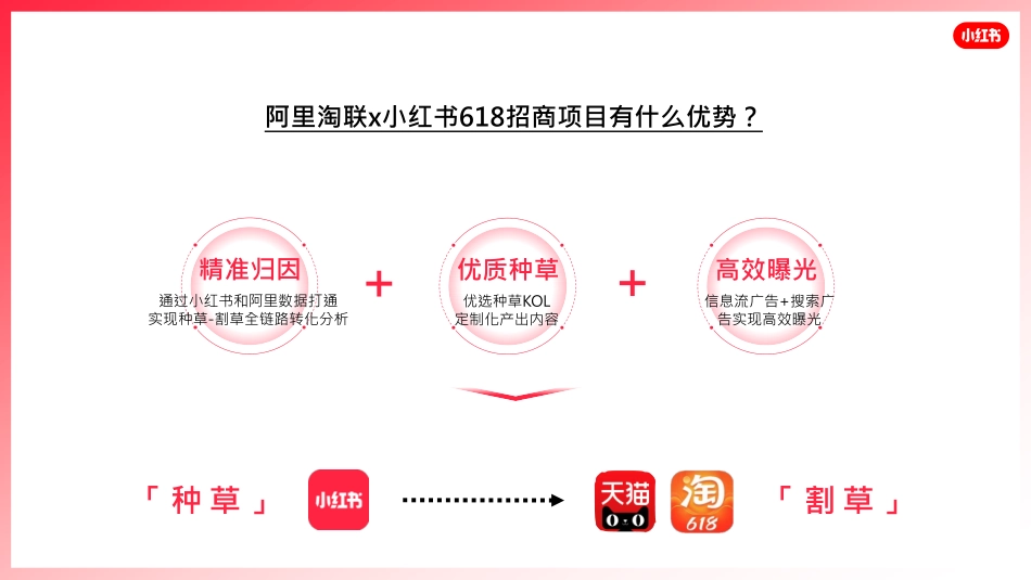 阿里陶联x小红书618_第6页