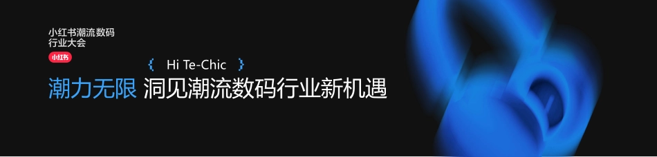 洞见潮流数码行业新机遇_第1页