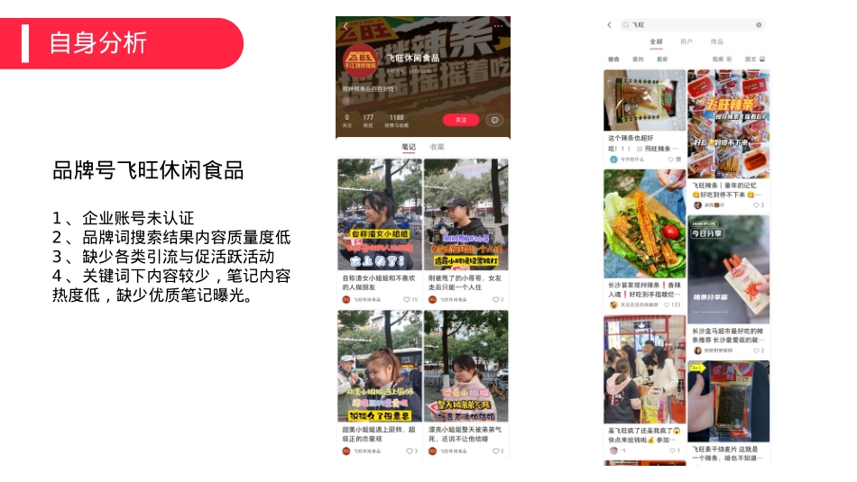 飞旺辣条小红书品牌营销方案_第10页