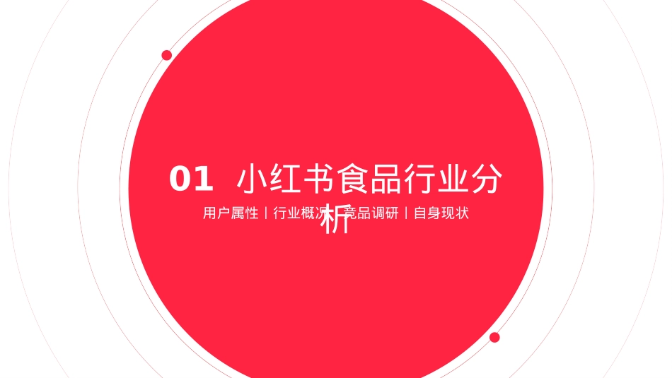 飞旺辣条小红书品牌营销方案_第3页