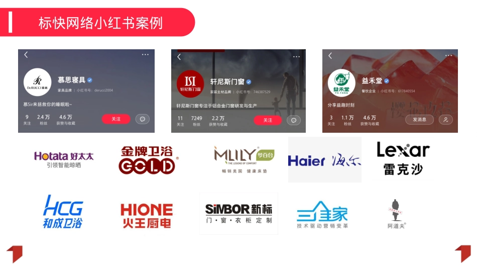 飞旺辣条小红书品牌营销方案_第5页