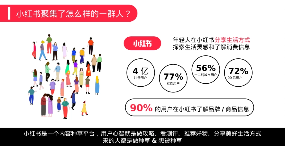 飞旺辣条小红书品牌营销方案_第6页