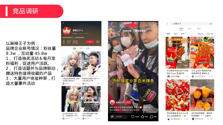 飞旺辣条小红书品牌营销方案_第9页