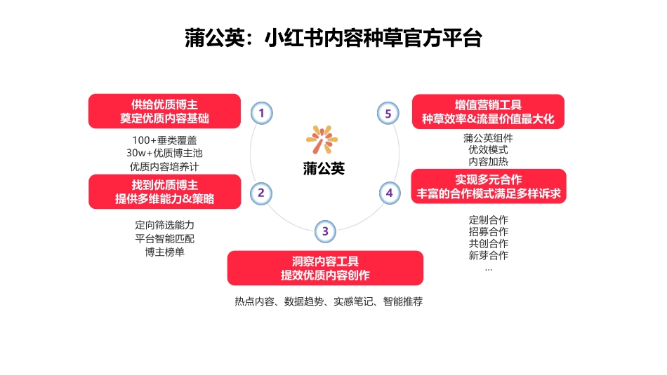 服饰行业蒲公英投放指南_第3页