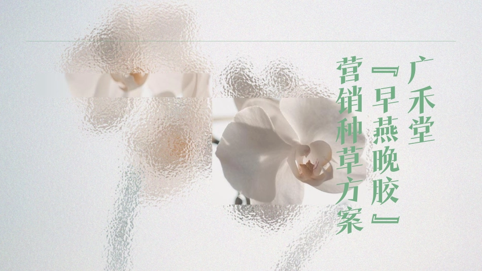 广禾堂-早燕晚胶盏营销种草方案-2023_第1页