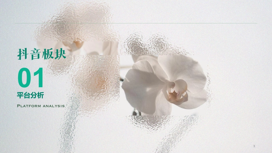 广禾堂-早燕晚胶盏营销种草方案-2023_第3页