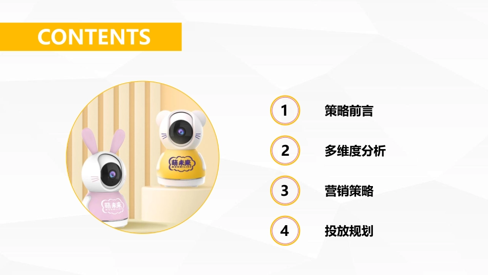 萌未来23年小红书营销种草方案_第2页