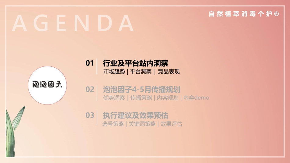 泡泡因子小红书种草营销方案对外版_第3页