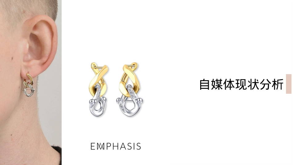 轻奢珠宝品牌小红书企业号运营方案_第2页