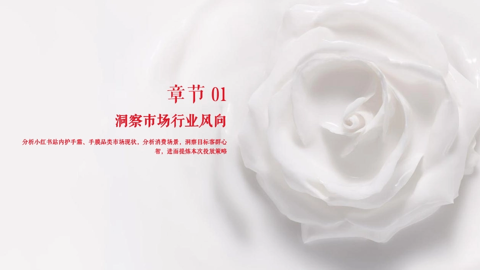 手膜产品小红书种草执行方案_第3页