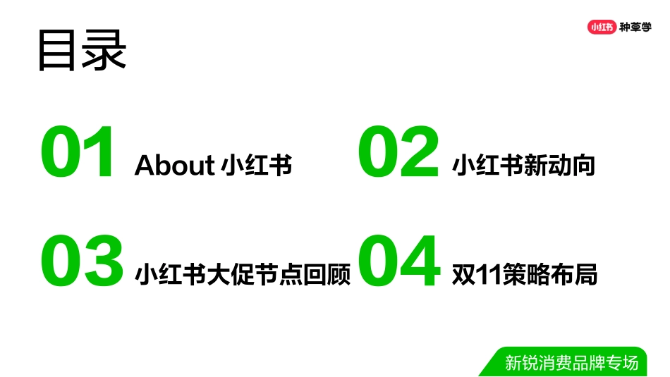双11直播ppt-新生品牌-新锐消费品牌专场(final ver.)_第2页