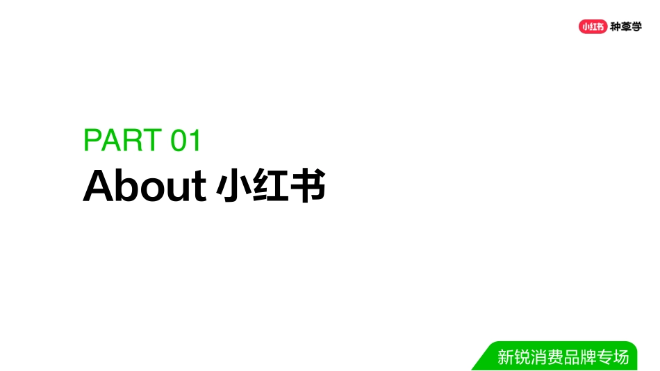 双11直播ppt-新生品牌-新锐消费品牌专场(final ver.)_第3页