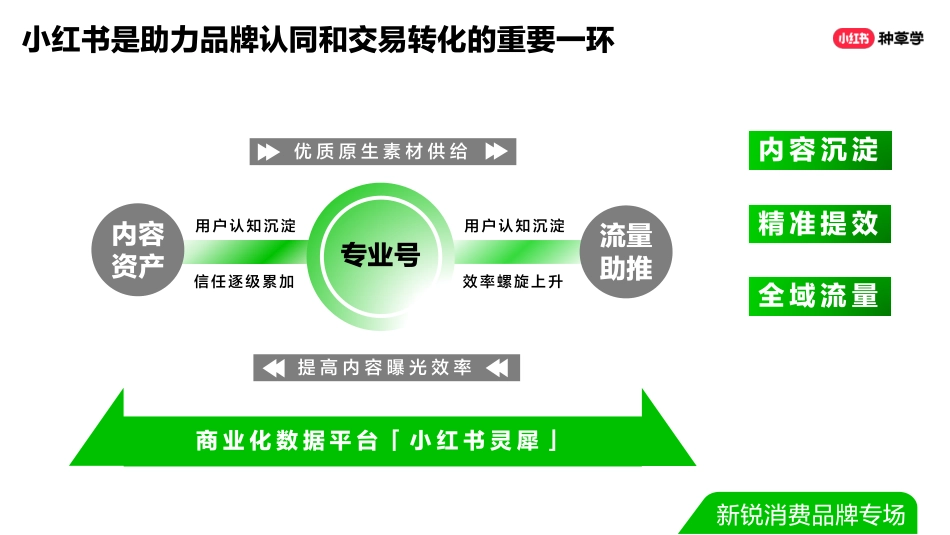 双11直播ppt-新生品牌-新锐消费品牌专场(final ver.)_第5页