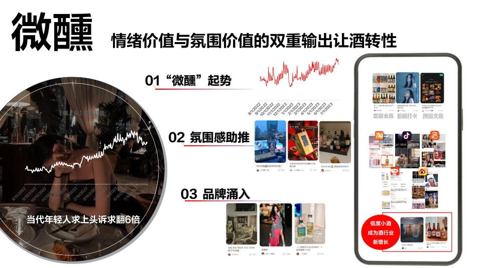 双11种草学习季-直播课件-酒行业_第5页