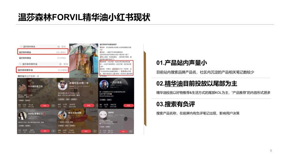 温莎森林FORVIL 10-12月爆文营销_第5页