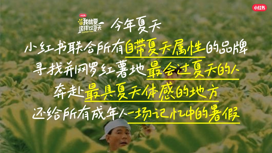 我就要这样过夏天招商通案_第4页