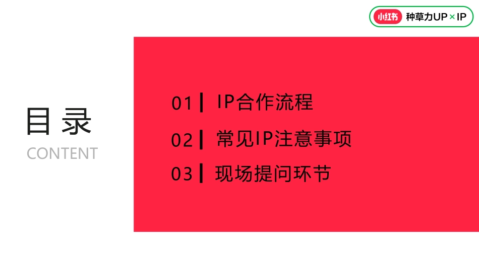 小红书:2024小红书营销IP执行标准_第2页