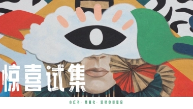 小红书：惊喜试集互动IP招商方案