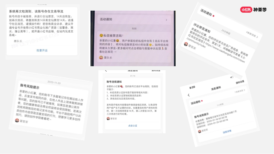 小红书：小红书官方直播间三招教你账户成长_第10页