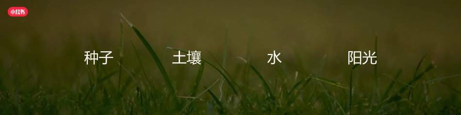 小红书：小红书种草进阶-细分人群精准渗透_第3页