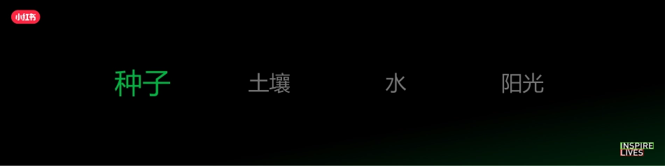 小红书：小红书种草进阶-细分人群精准渗透_第4页