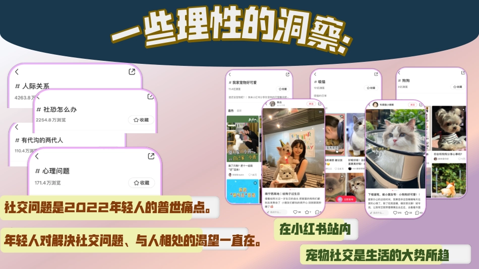 小红书《靠你了小可爱 》招商方案_第3页