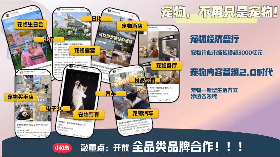 小红书《靠你了小可爱 》招商方案_第4页