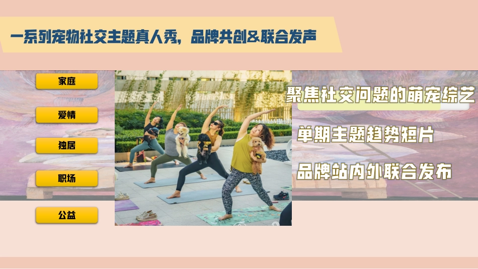 小红书《靠你了小可爱 》招商方案_第9页