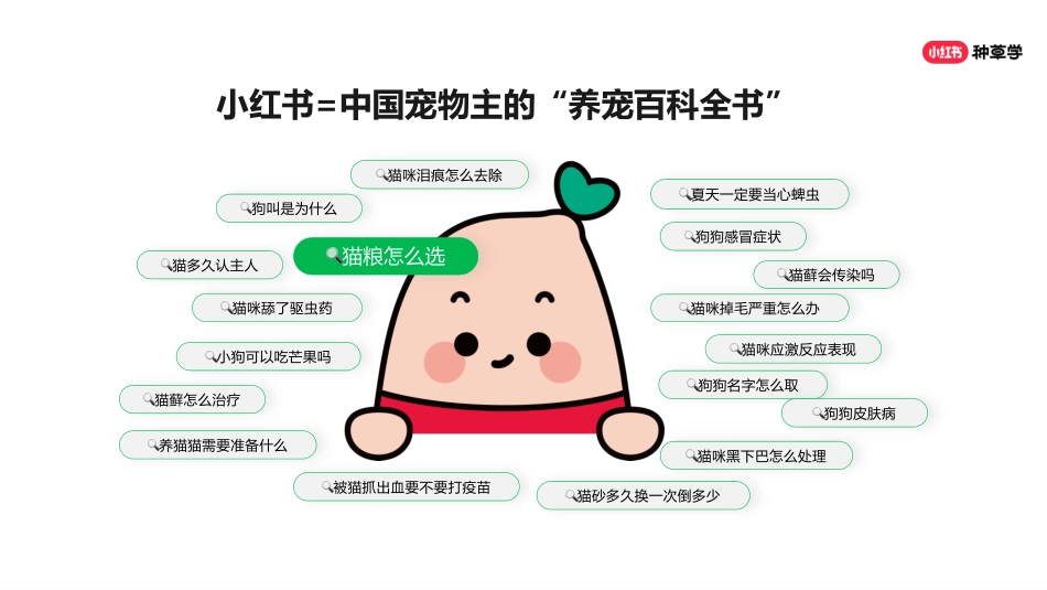 小红书618直播周丨宠物行业_第4页