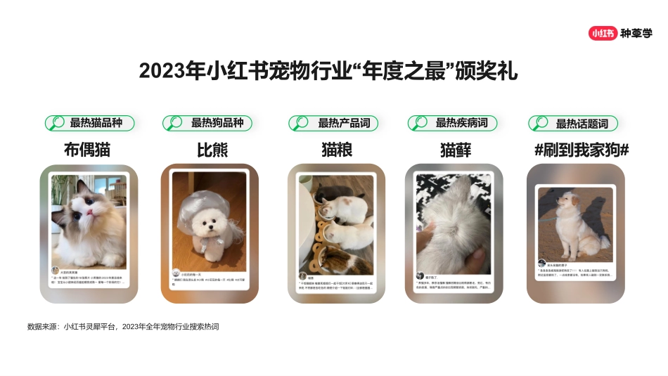 小红书618直播周丨宠物行业_第7页