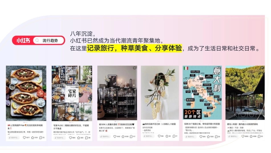 小红书s级IP-薯小虎过暑假招商方案_第2页