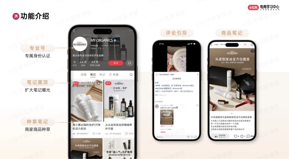 小红书电商简介_第6页