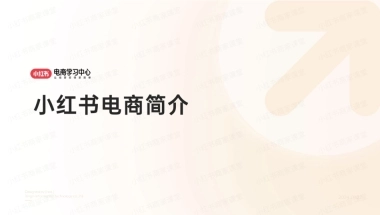 小红书电商简介