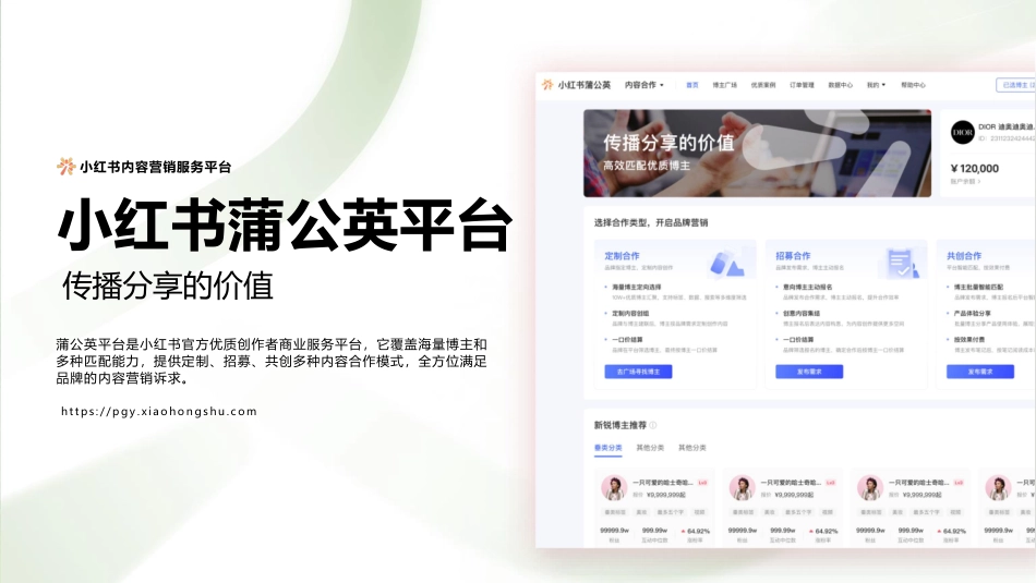 小红书服饰行业内容合作_第6页