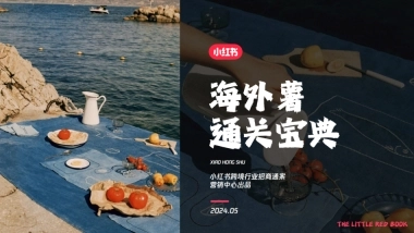 小红书-海外薯通关宝典招商