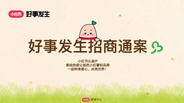 小红书合集-2024好事发生招商参考 
