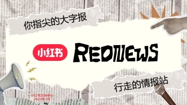 小红书合集-2024行走的情报站招商参考 