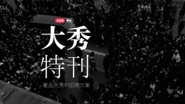 小红书合集-2025大秀特刊奢品IP招商参考 