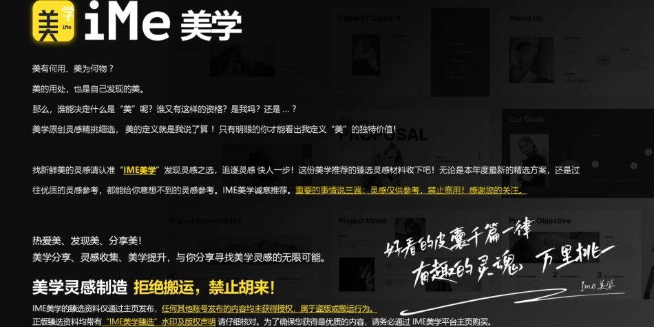 小红书合集-2025美容美体仪行业营销大事件_第2页