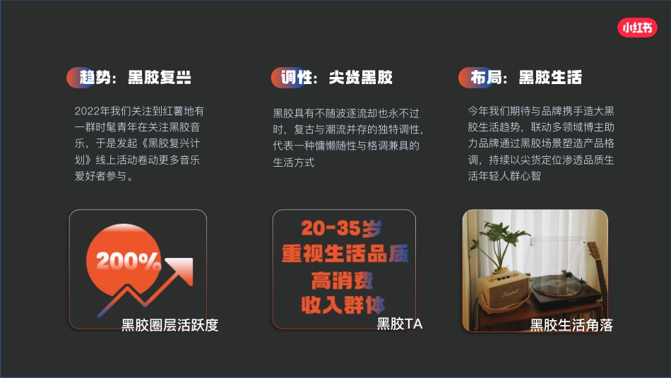 小红书黑胶计划2.0通案_第2页