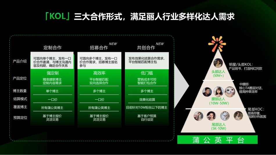 小红书丽人行业营销通案_第9页