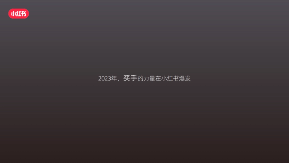 小红书内循环IP《红薯买手集》招商通案_第2页